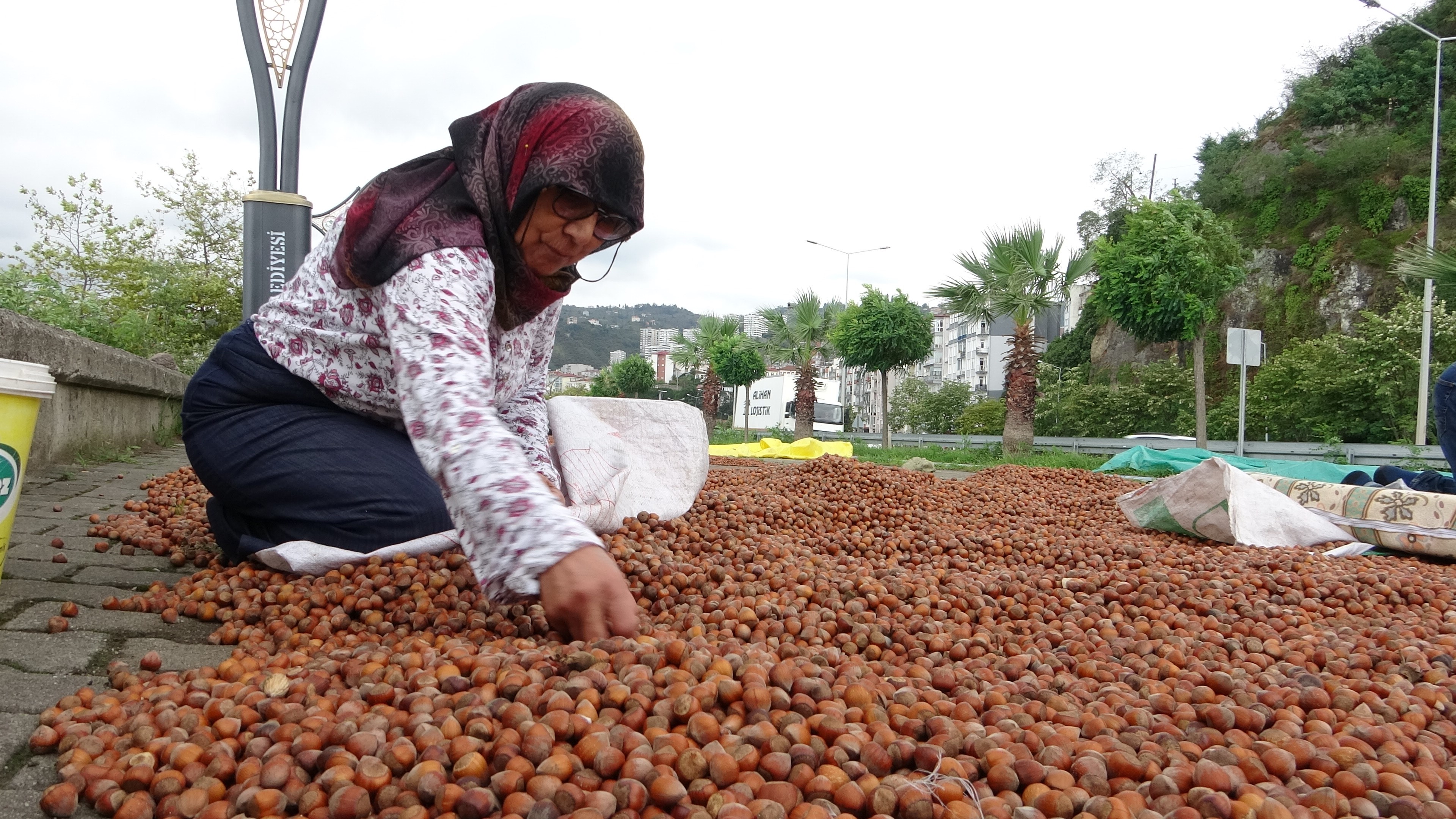 Fındık Fiyatları Düştü