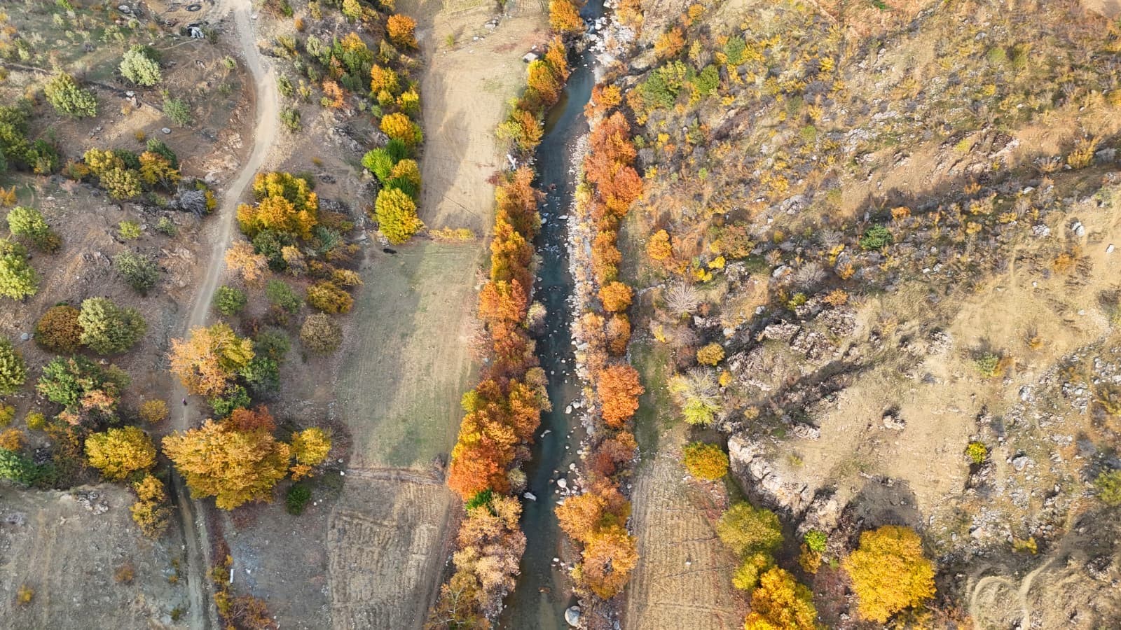 Gizli Karadeniz Sason Dağları'nda Sonbahar (3)