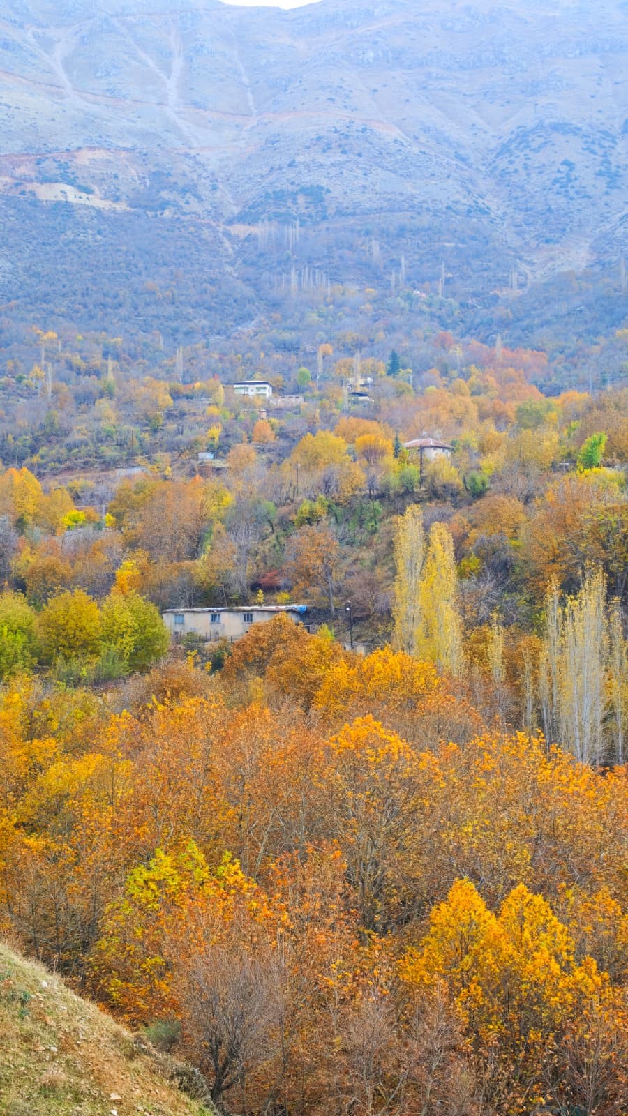 Gizli Karadeniz Sason Dağları'nda Sonbahar (4)
