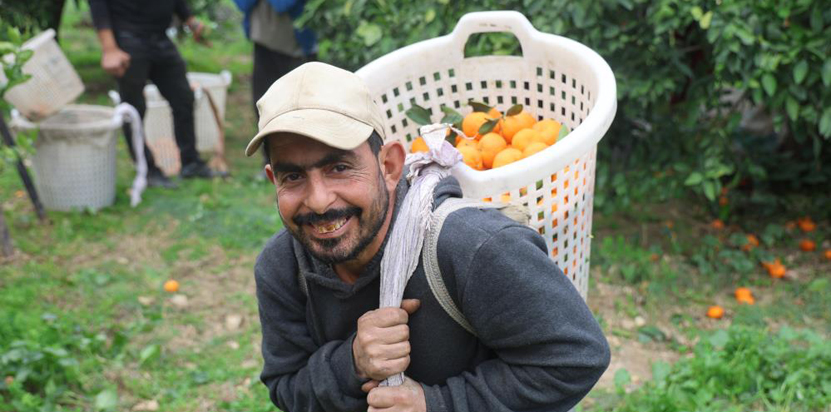 Hatay Mandalina Hasadi Fiyat Farki 1
