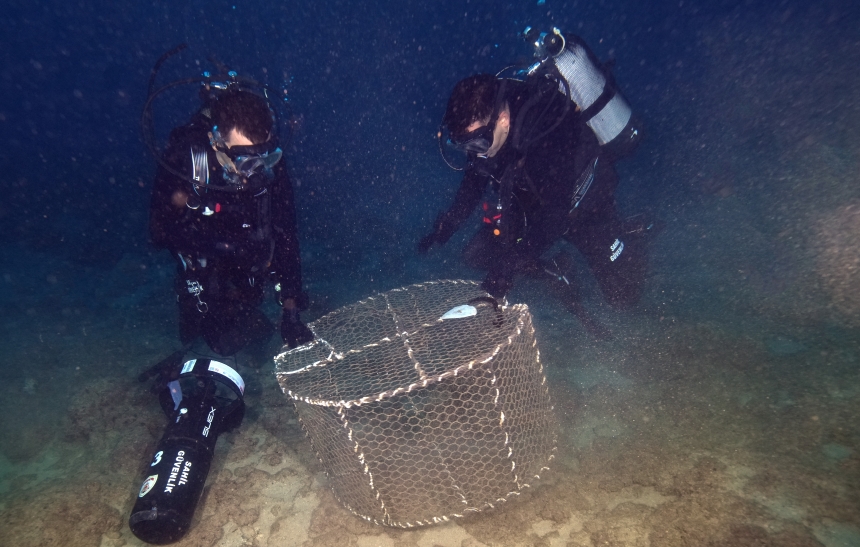 Kafes Tipi Avcılığa Sahil Güvenlik Engeli (2)