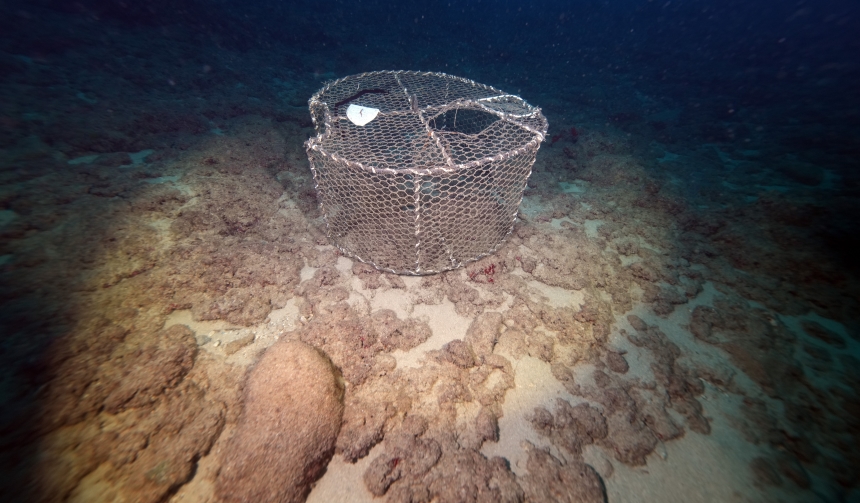 Kafes Tipi Avcılığa Sahil Güvenlik Engeli (4)