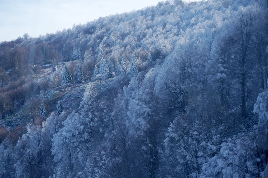 Kar, Güneş Ve Kartepe Yılbaşı Öncesi Kar Keyfi Başladı!