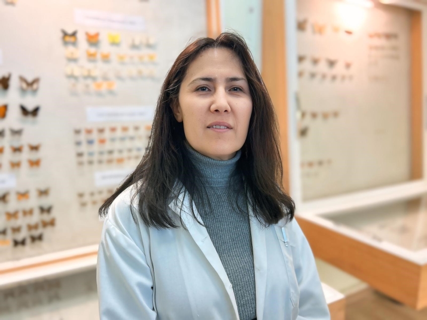 Kelebekler Neden Kayboldu Bilim Merkezi Cevabı Arıyor (2)