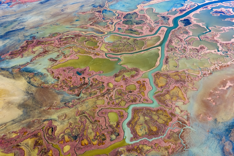 Lagün Ekosisteminde Yaşam; Yumurtalık Lagününün Zenginliği (1)