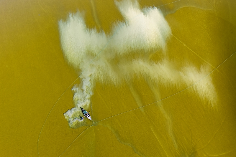 Lagün Ekosisteminde Yaşam; Yumurtalık Lagününün Zenginliği (2)
