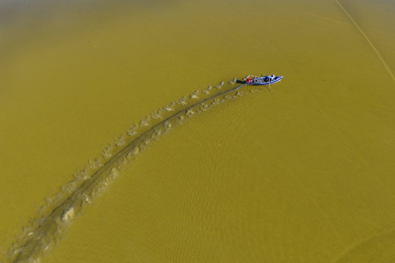 Lagün Ekosisteminde Yaşam; Yumurtalık Lagününün Zenginliği (3)