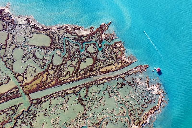 Lagün Ekosisteminde Yaşam; Yumurtalık Lagününün Zenginliği (4)