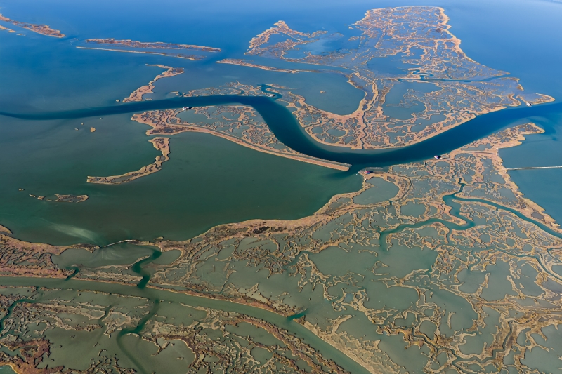 Lagün Ekosisteminde Yaşam; Yumurtalık Lagününün Zenginliği (5)