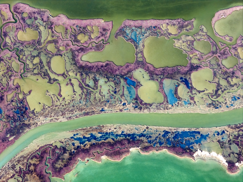 Lagün Ekosisteminde Yaşam; Yumurtalık Lagününün Zenginliği (6)