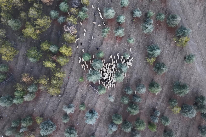 Mera Arazisi İmar İddiası