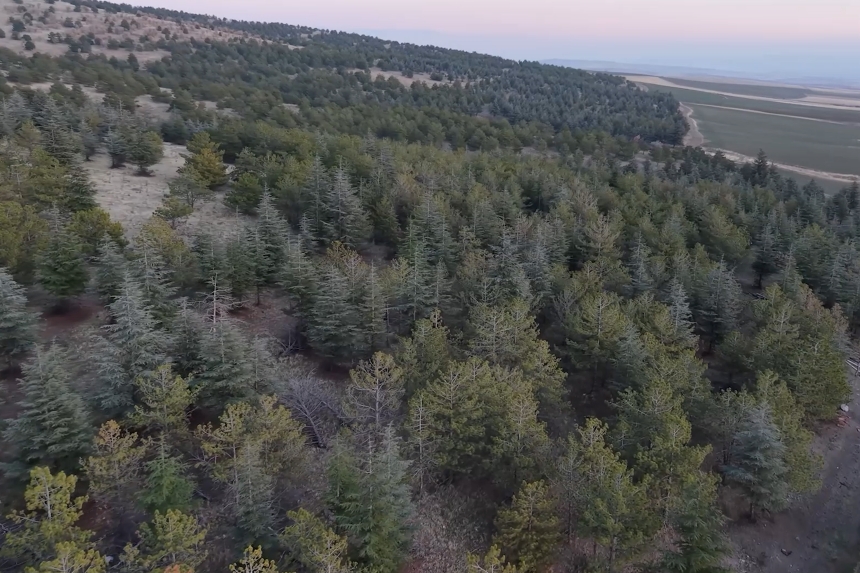 Mera Arazisi İmar İddiasında Belediye'ye Soruşturma Açıldı!