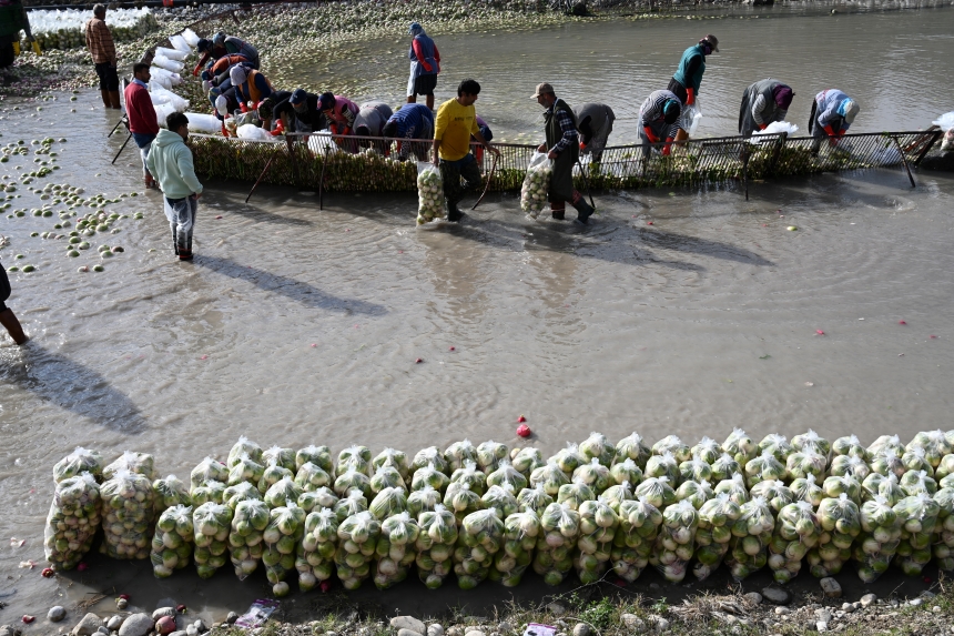 Osmaniye Kadirli Turpu (4)