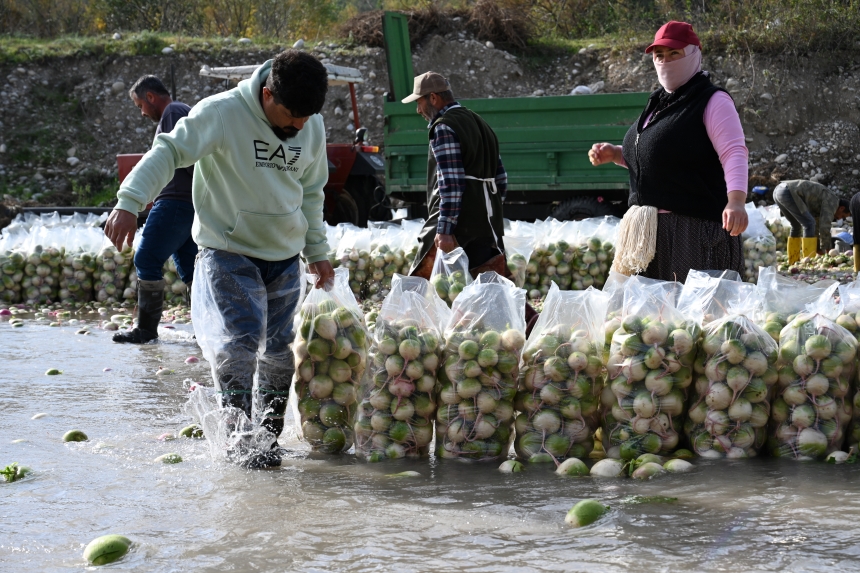 Osmaniye Kadirli Turpu (6)