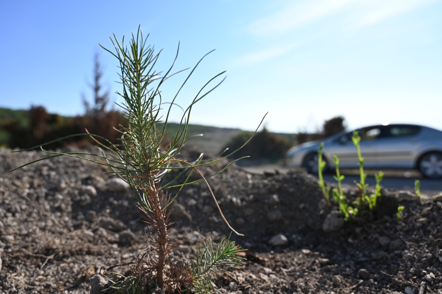 Osmaniye Küllerinden Doğuyor (2)