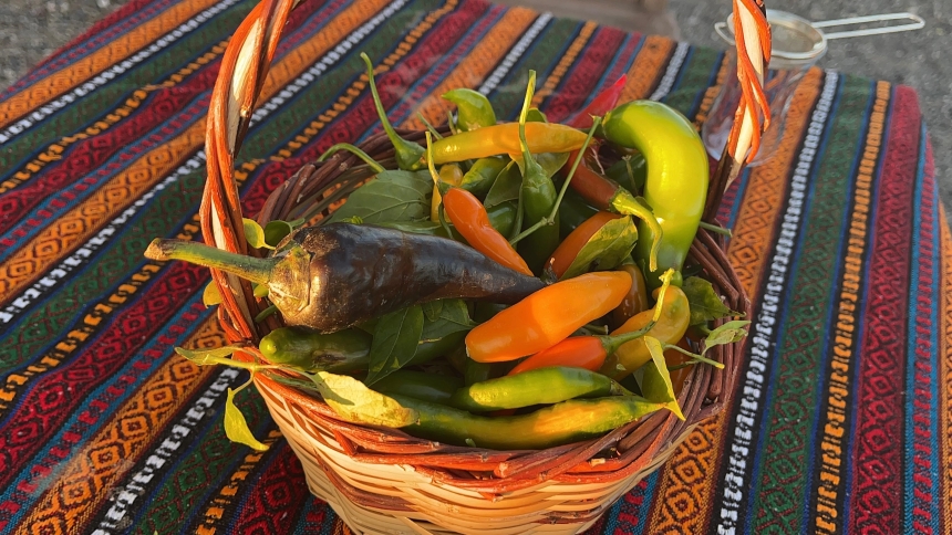 Osmaniye’de Bir İlk Hem Üretiyor, Hem Ücretsiz Dağıtıyor (1)