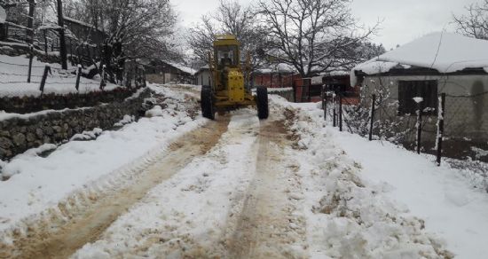 Osmaniye'de Kar Tatili (1)