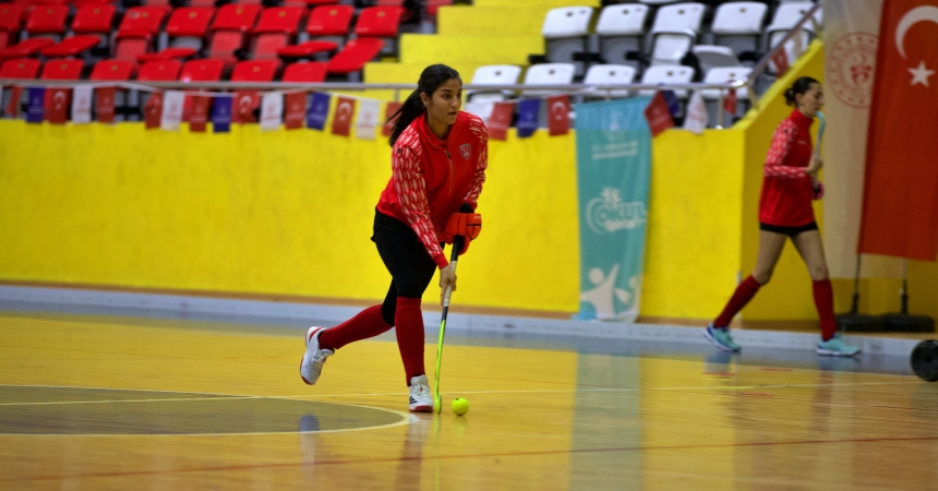 Osmaniye'de Kupa Yolculuğu; Hedef Avrupa Şampiyonluğu (1)