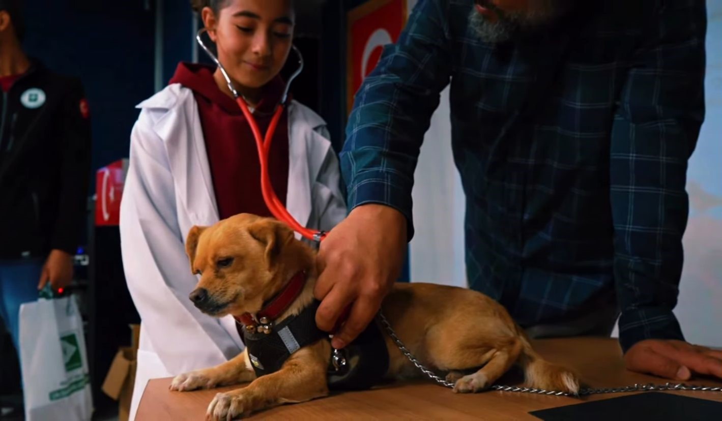 Osmaniye’de Minik Veterinerler İş Başında (3)