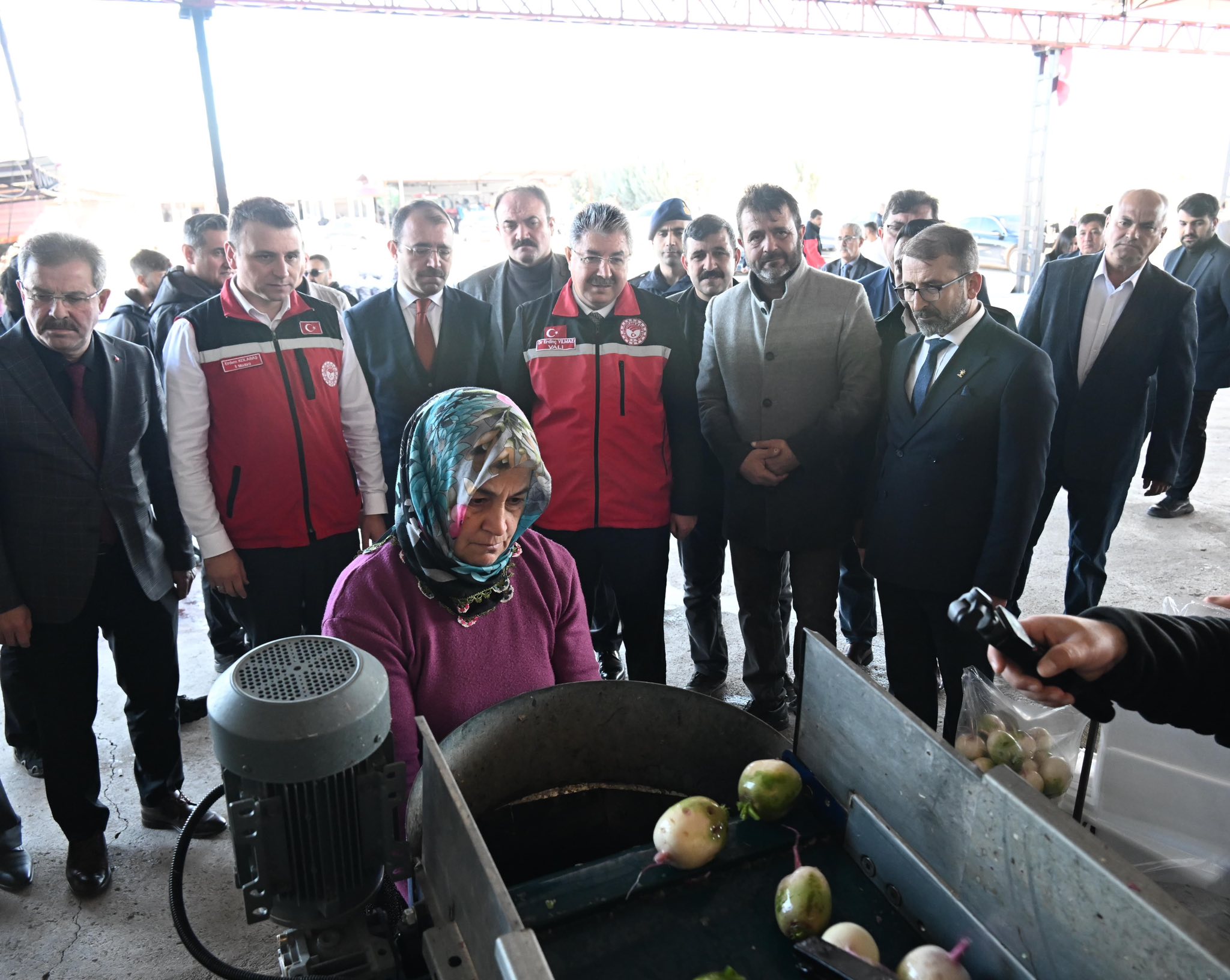 Osmaniye'nin Turp Üretim Merkezine Vali Yılmaz İnceledi (4)