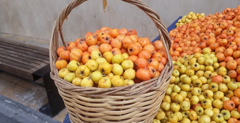 Şehirlerin Sokaklarını Süsleyen Lezzetler1