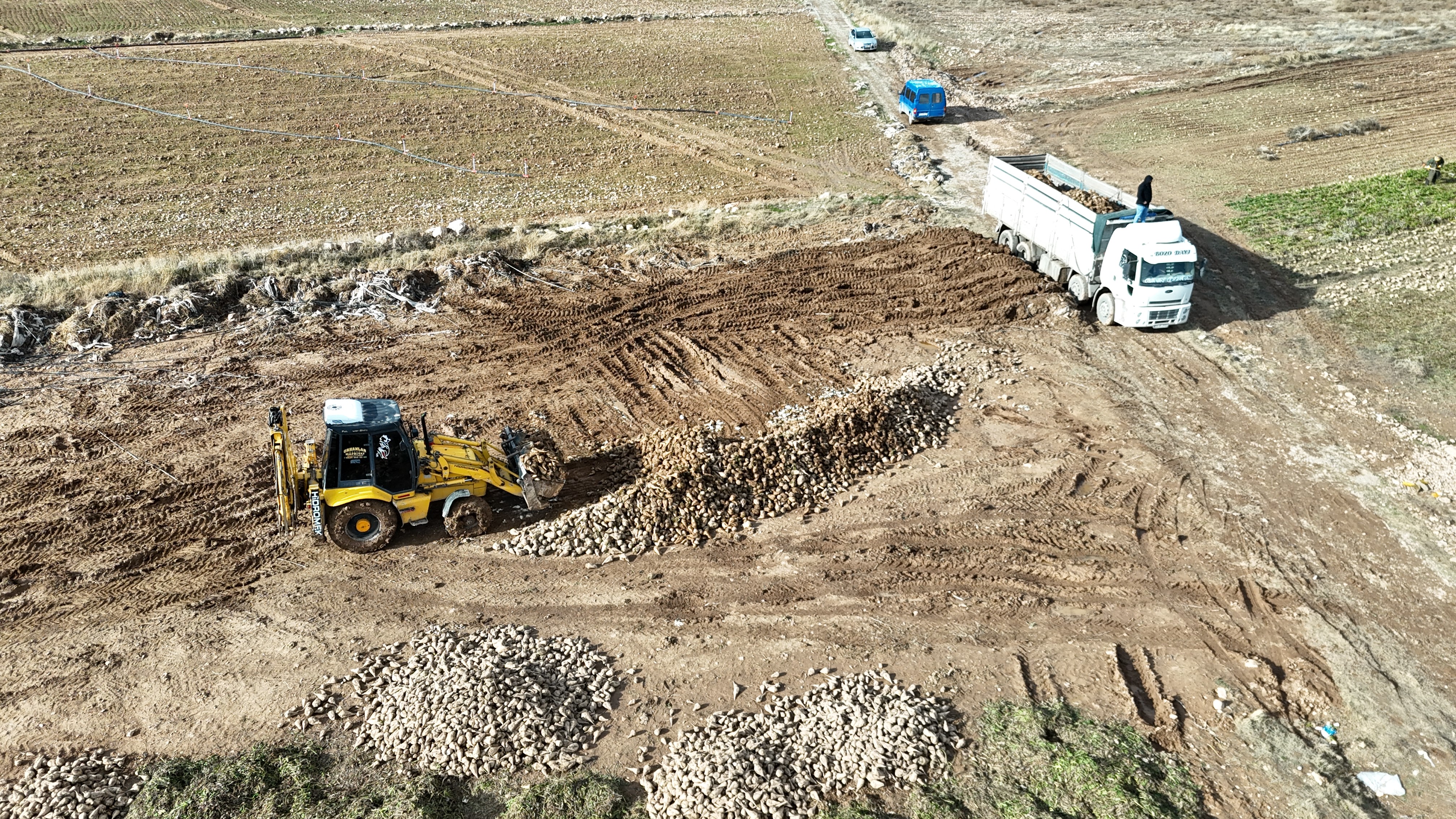 Şeker Pancarı Hasadında Rekor Verim; Hasatta Son Perde (3)