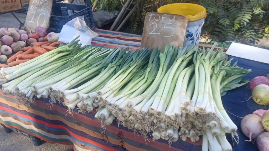 Semtpazarıiyatlarıosmaniye