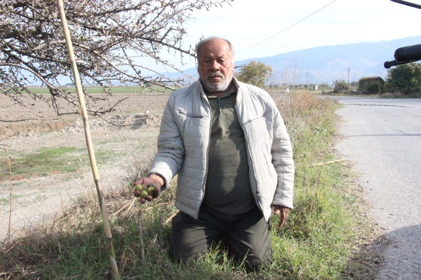 Toplaması Zahmetli, Faydası Büyük (1)