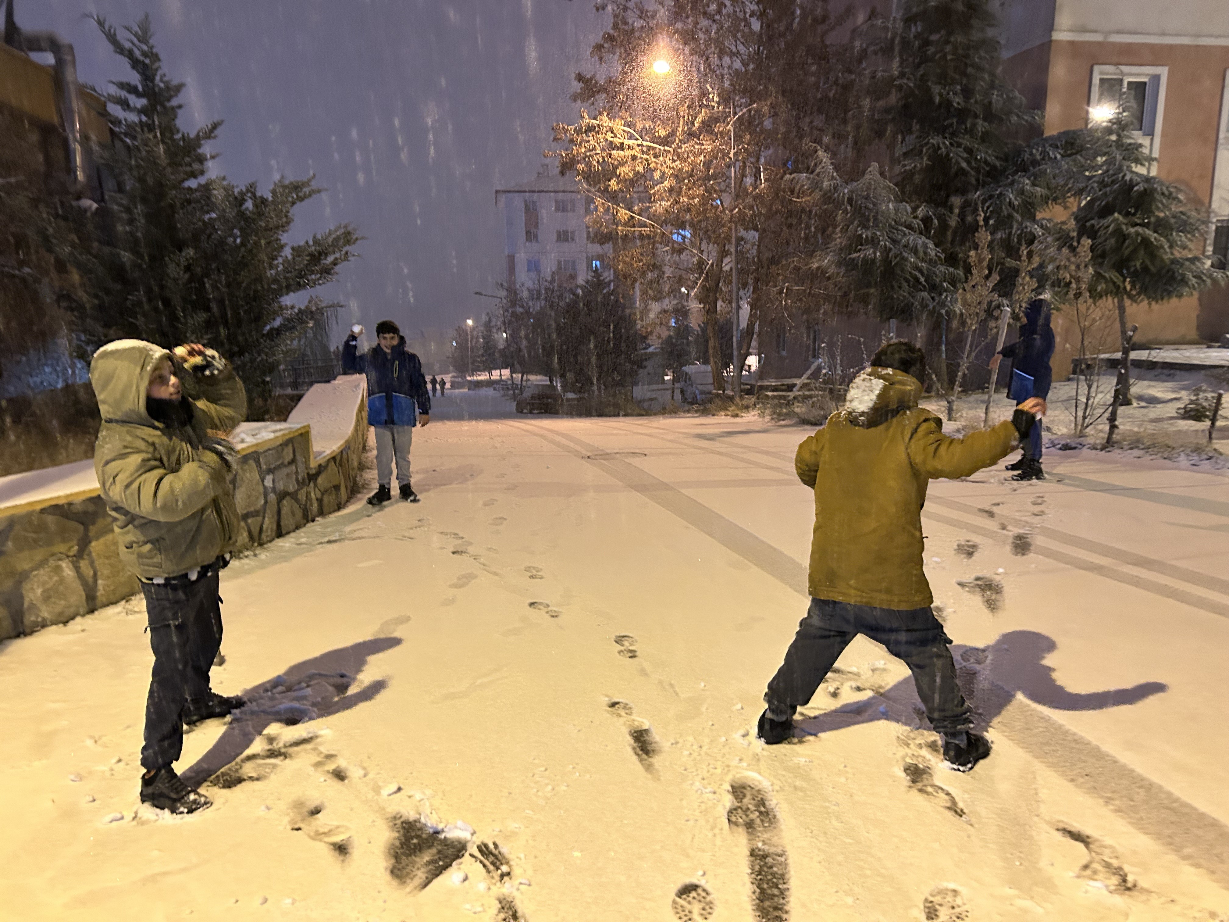 Vanda Kar Yağışı