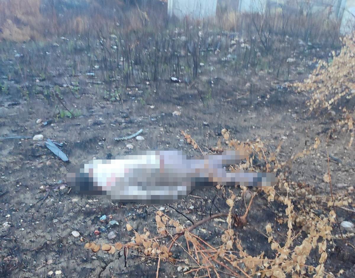 Viyadük Kazasında Ölen Sürücü, 30 Metre Aşağıda Bulundu!-1