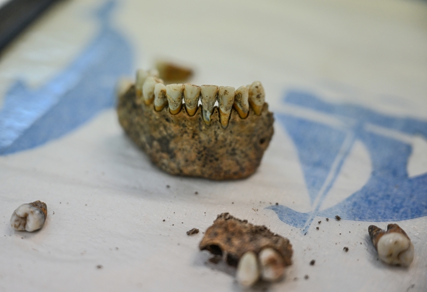 12 Bin Yıllık İnsanlığın Dna Haritası