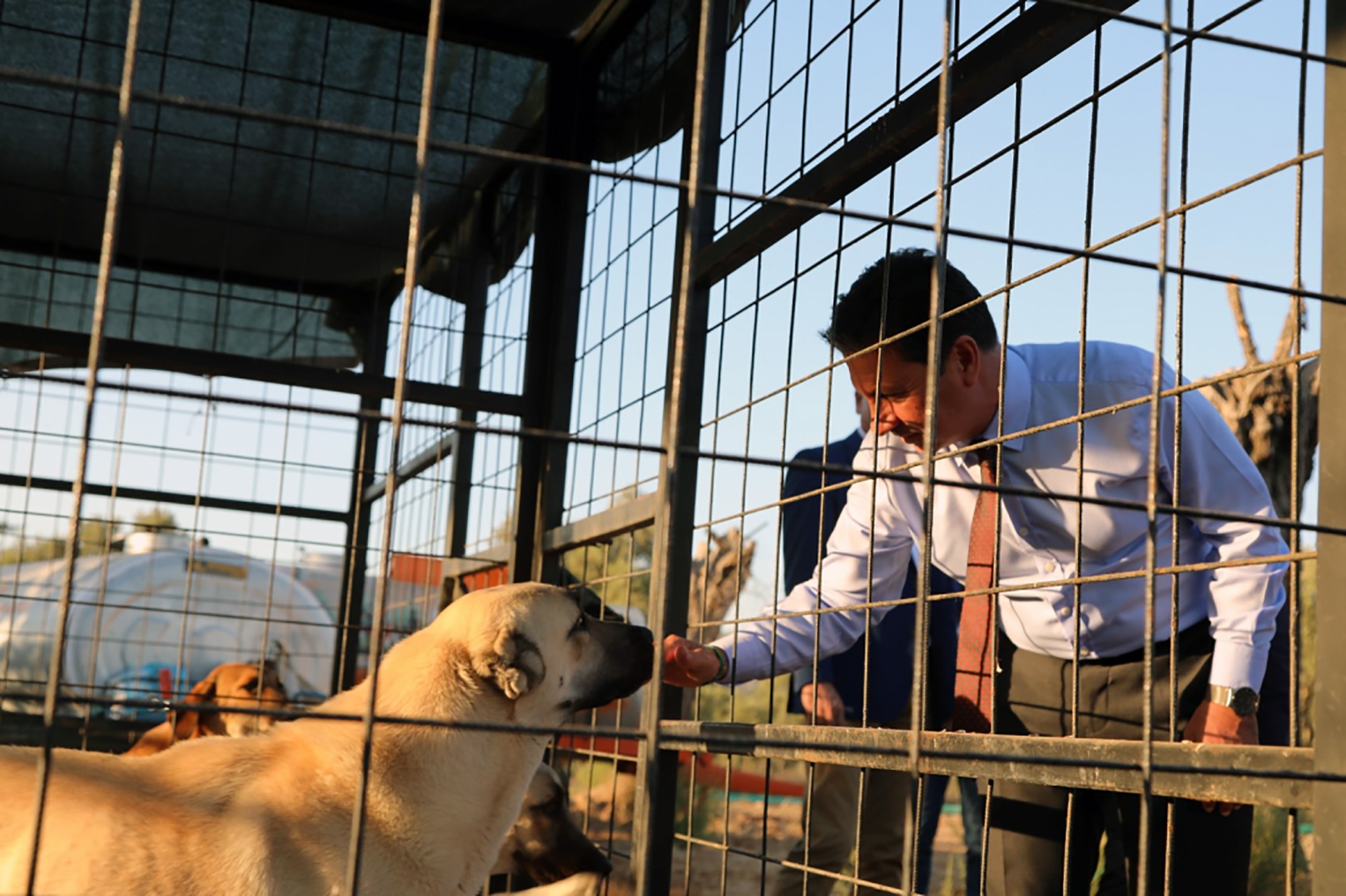 4 Binden Fazla Sahipsiz Hayvan Yeni Yuvasına Kavuştu-1