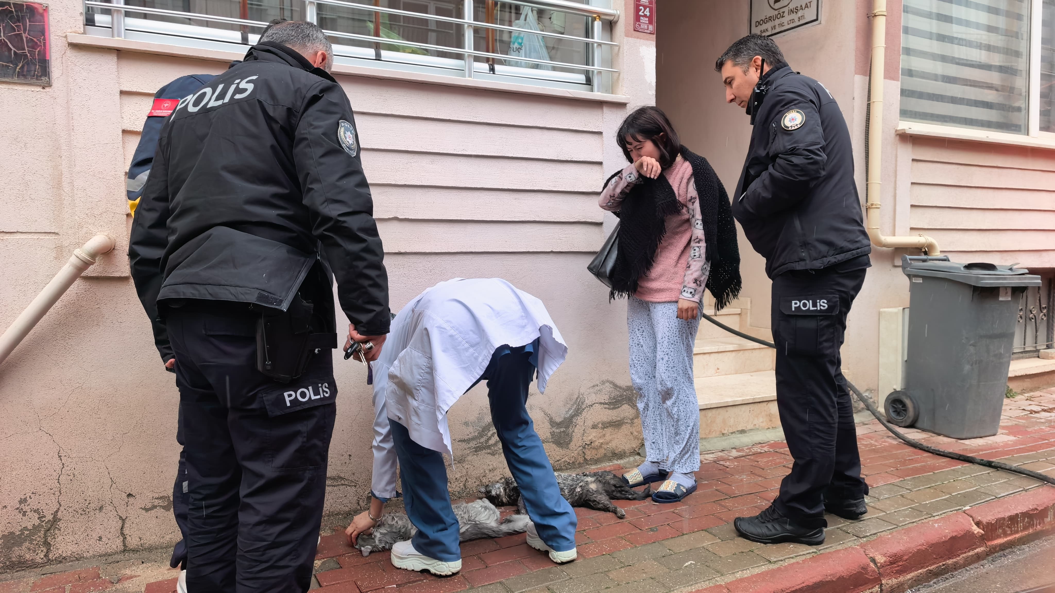 Apartman Yangınında Çocuklar Kurtarıldı, Kediler Telef Oldu-1