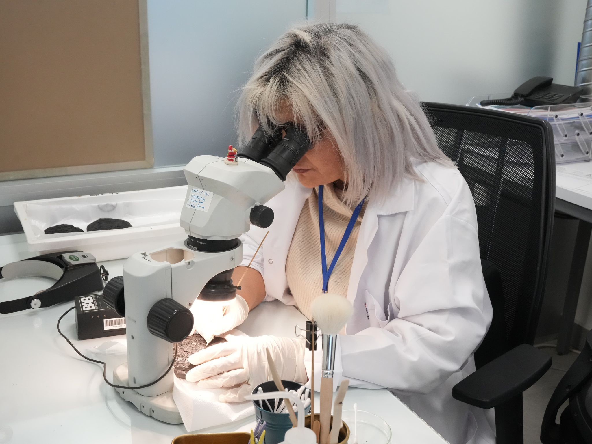 Bakan Ersoy Konservasyon