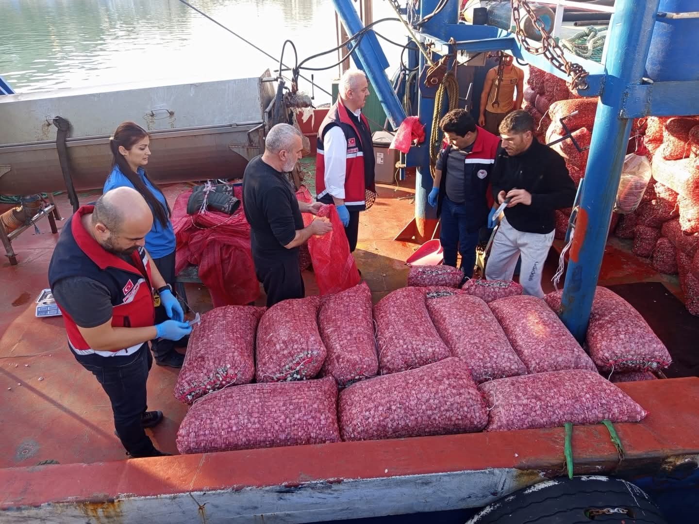 Beyaz Kum Midyesi Avına Sıkı Denetim!