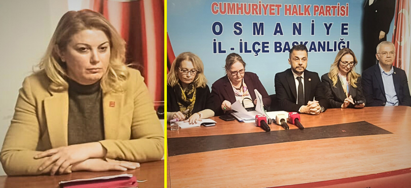 Chp Kadın Kolları Genel Başkanı Asu Kaya