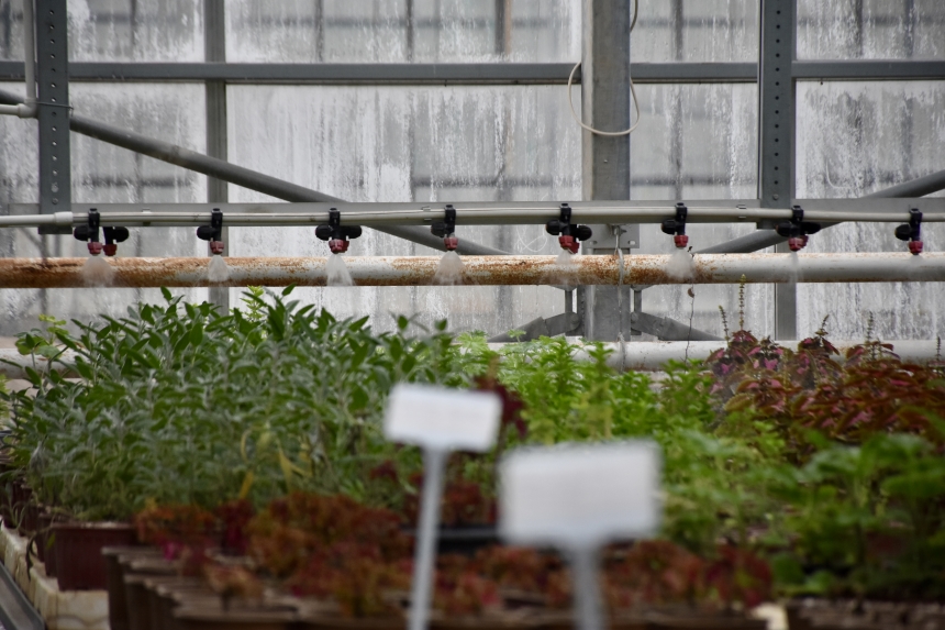 Cop31’De İklim Dostu Tarım Teknolojileri (2)