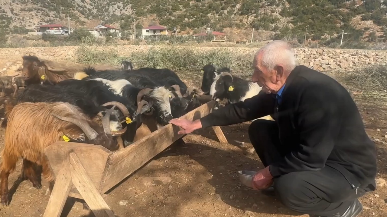 Depremde Sürüsünü Kaybetti Devlet Desteğiyle Ayağa Kalktı!1