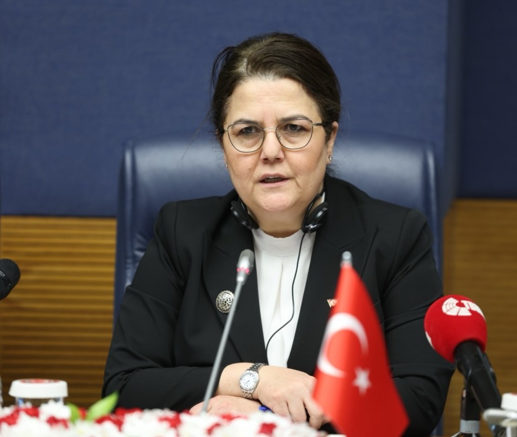 Derya Yanık Avrupa Parlamentosu İle İnsan Hakları