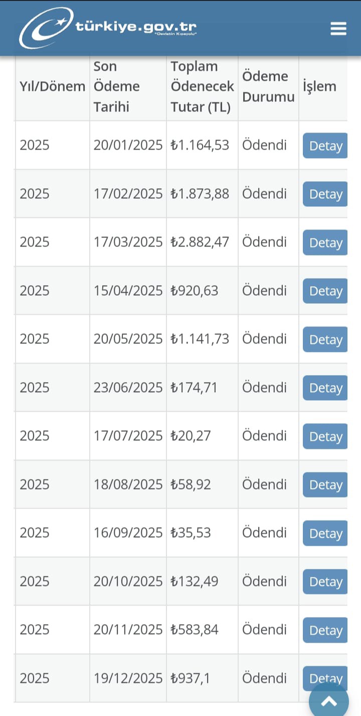 Doğal Gaz Faturası Şok Etti 150 Metrekareye 98 Bin ₺-1