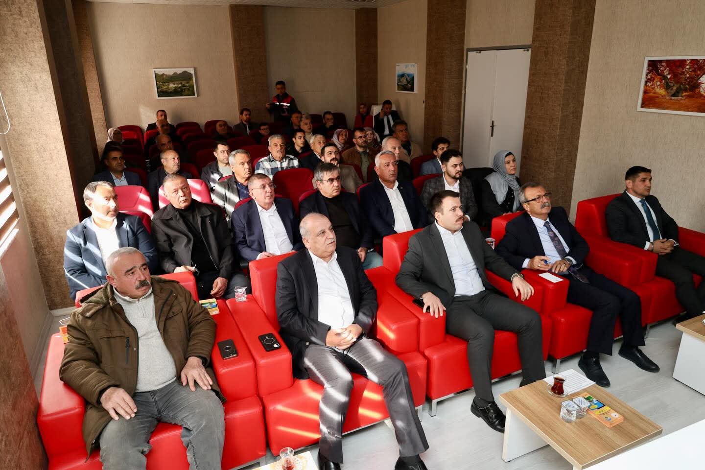 Düziçi zeytin üreticileri birliği