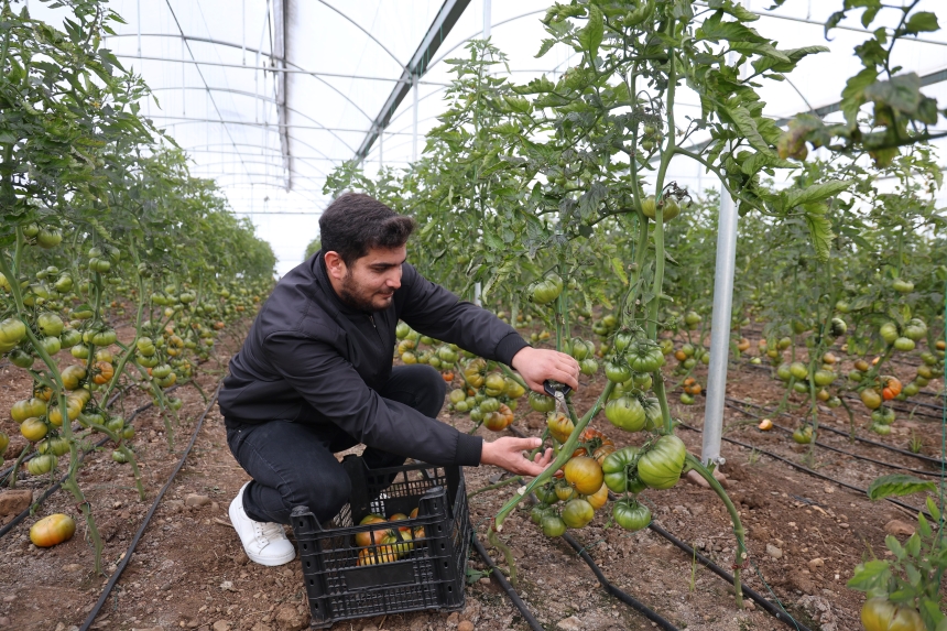 Genç Çiftçiler Devlet Destekli Seralarla Üretime Başladı (5)
