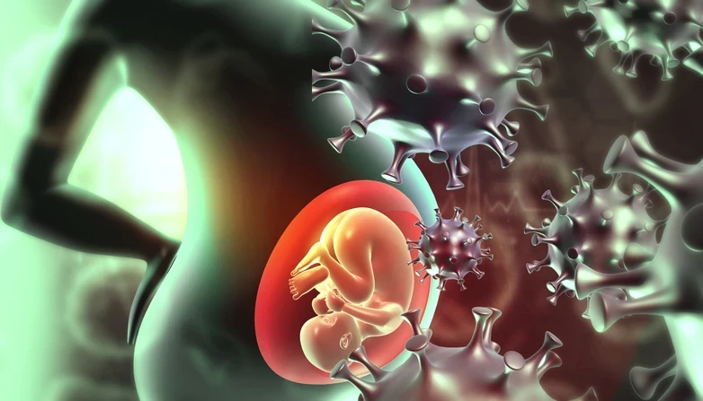 Hamilelikte Bağışıklık Rehberi Grip Ve Enfeksiyon Önlemleri (1)