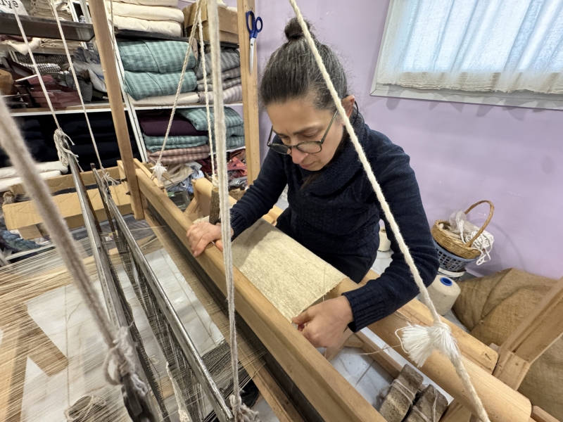 “Hatay Sarısı” Irkı İpek Böcekçiliğine “Yaşayan İnsan Hazineleri” Ödülü-1