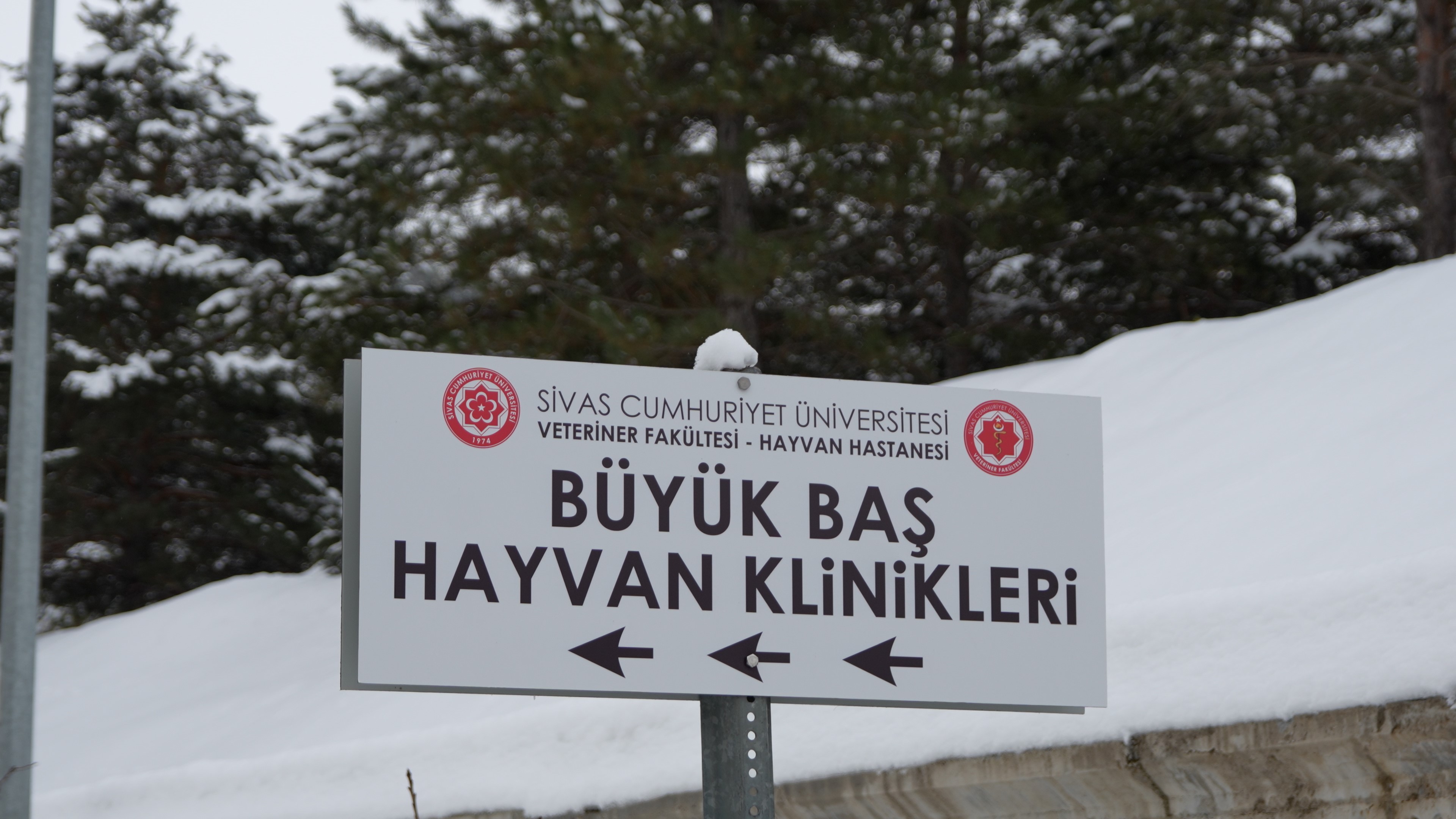 Hayvan Acil Kliniğinde 724 Sağlık Hizmeti2