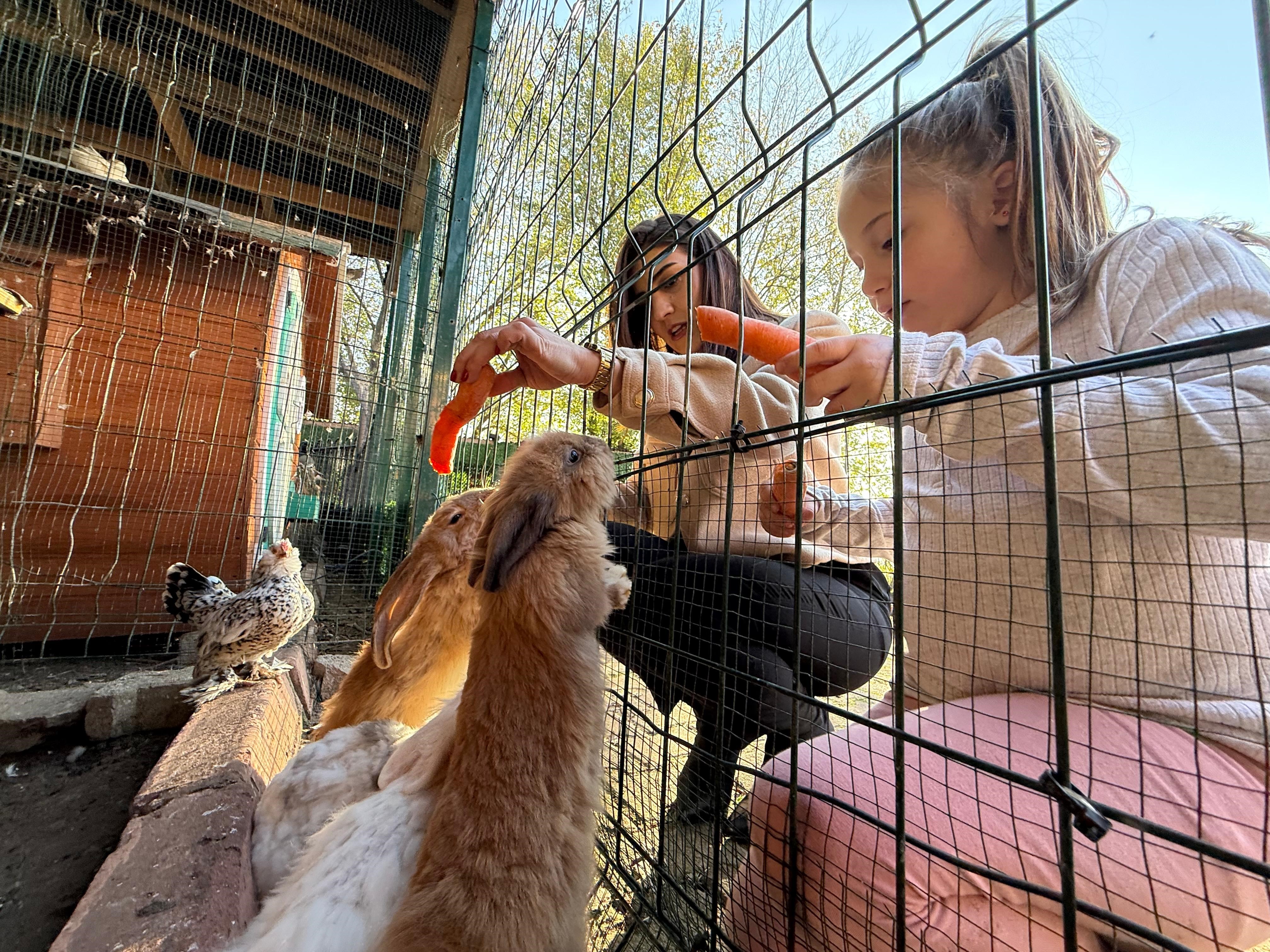 Hayvan Terapisiyle Özel Çocuklar
