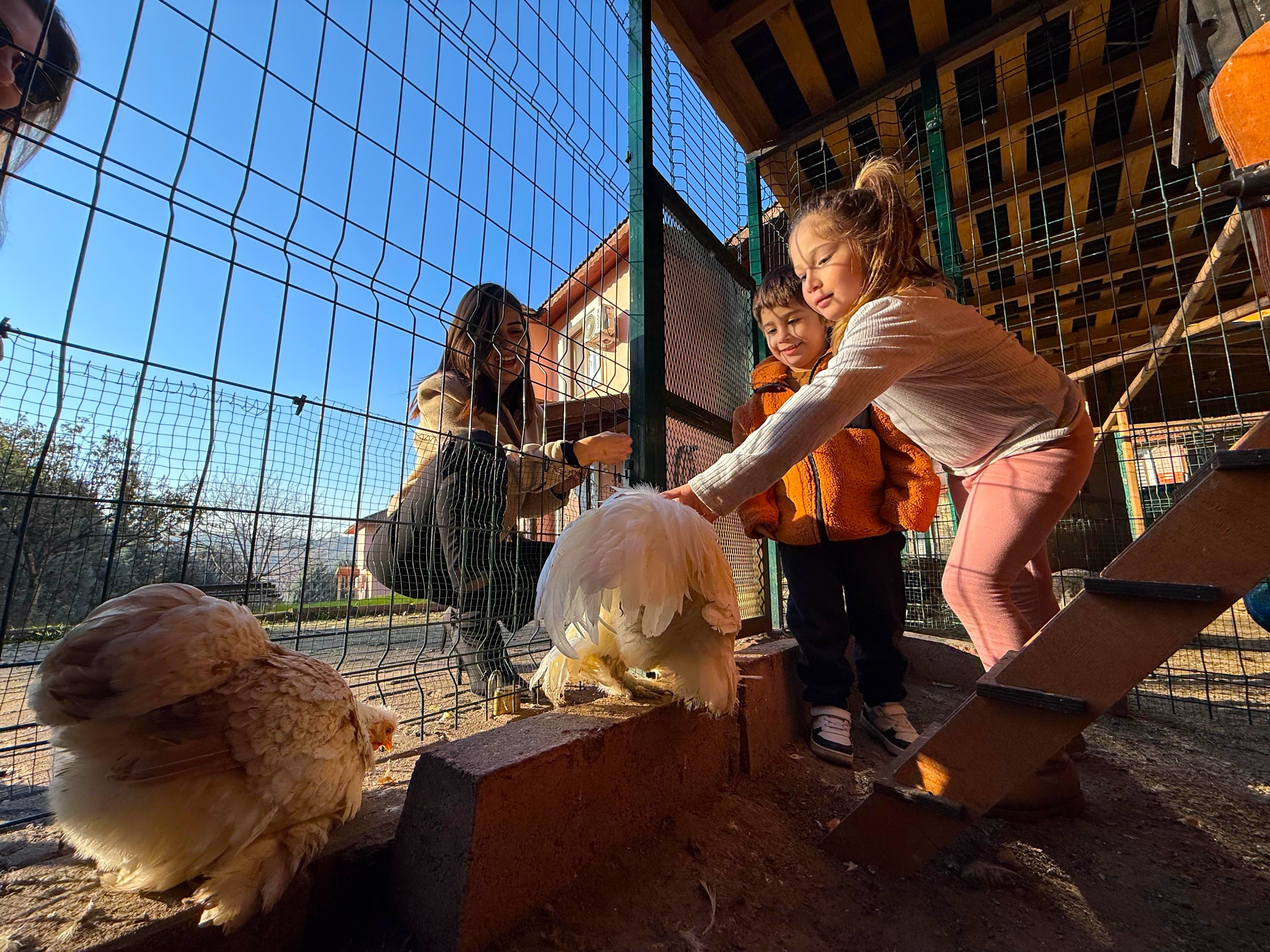 Hayvan Terapisiyle Özel Çocuklara Eğitim-1