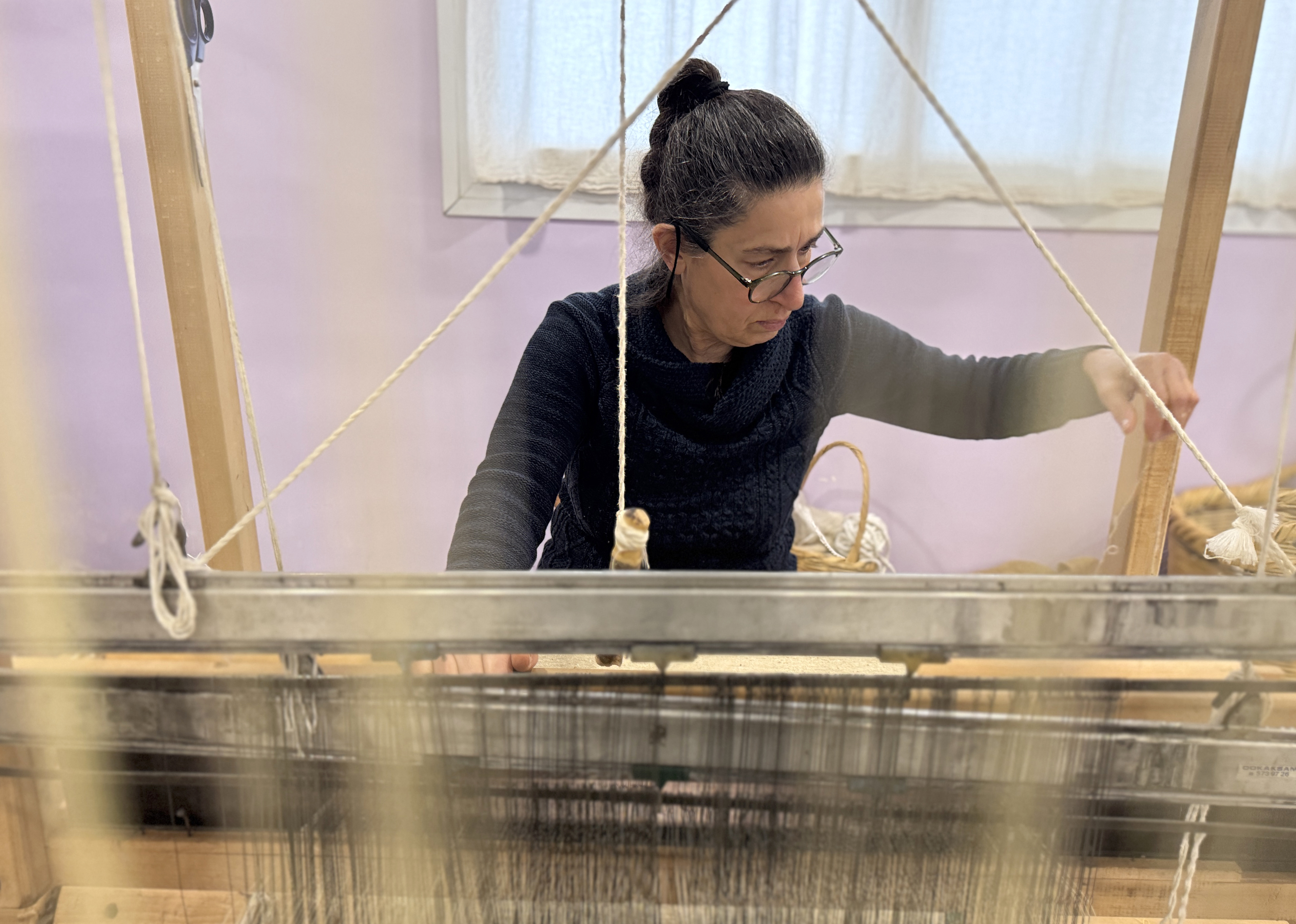 Ipek Böcekçiliği (3)