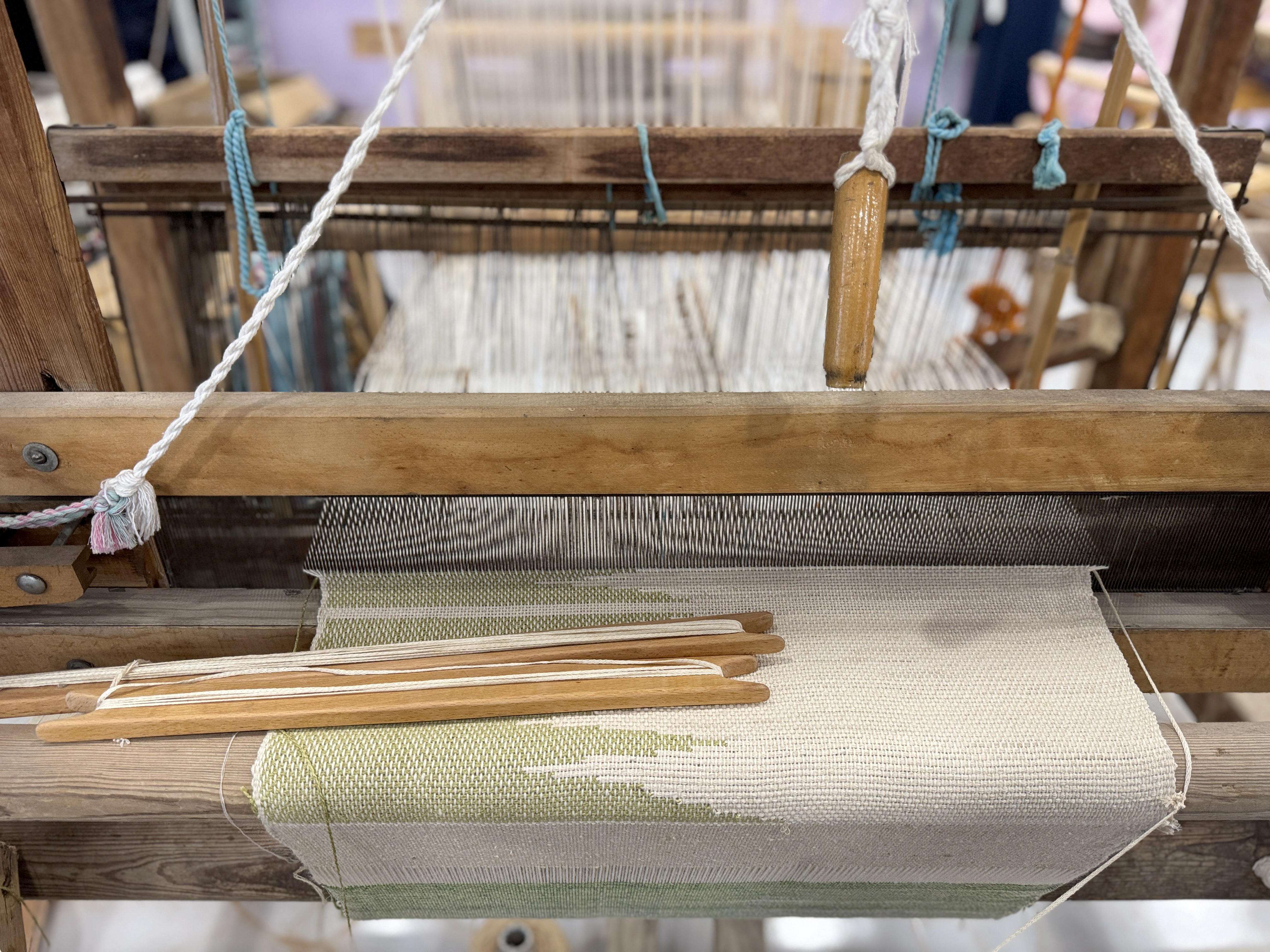 Ipek Böcekçiliği (4)