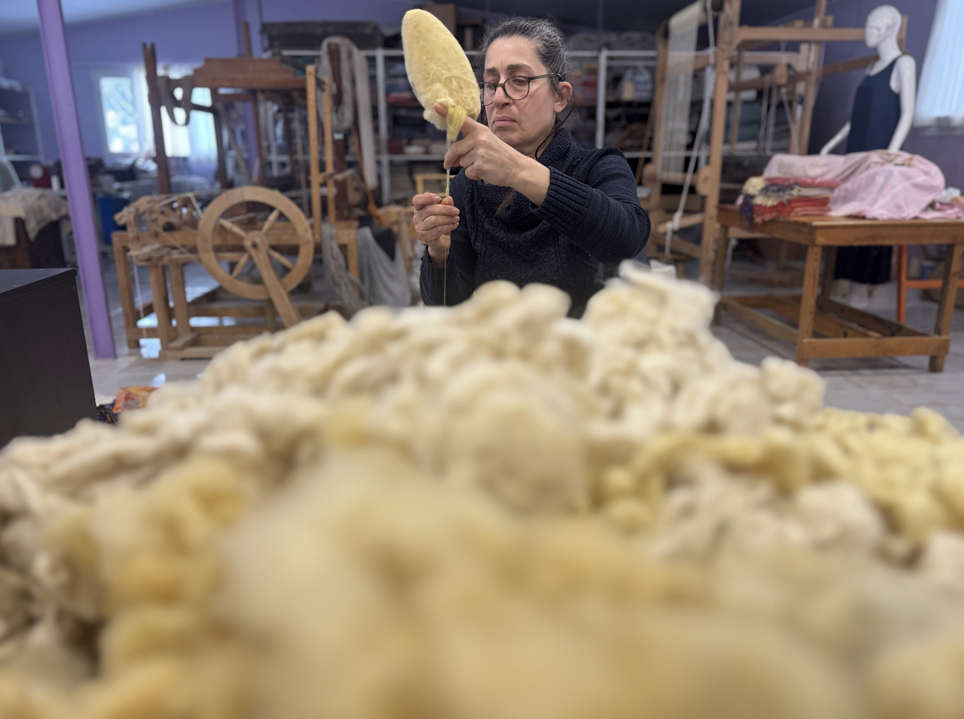 Ipek Böcekçiliği (6)